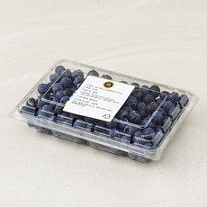 엠팍 칠레산 생블루베리, 310g, 1개