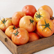 수토마켓 GAP 인증 완숙토마토, 5kg, 1개