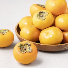 좋은하루 산지직송 영광 단감, 3kg(14~17입), 1개