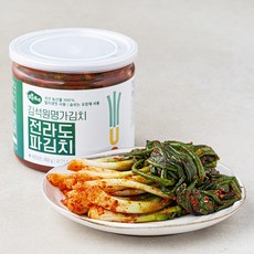 맑은물에 김석원 명가김치 전라도 파김치, 450g, 1개