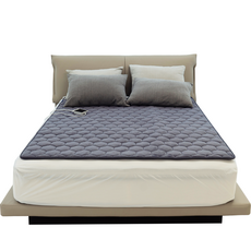 파세코 바로온 DC 카본매트 탄소 온열 캠핑 전기매트 PEM-Q145DG, 첼시그레이, 145 x 180 cm 첼시그레이, 145 x 180 cm