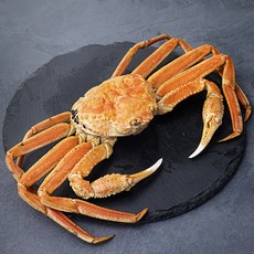 아라보감 산지직송 어제 찐 자숙 자숙 대게 (냉장), 750g, 1개