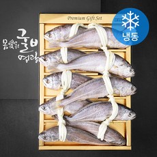 몸애좋은굴비 영광군수협 왕오가 선물 세트 (냉동), 250g, 10입