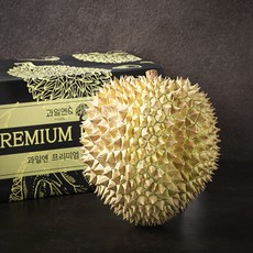 과일엔 프리미엄 두리안 선물세트, 2.5kg, 1개
