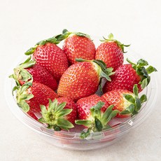 다조은 무농약 인증 금실딸기, 500g, 1개