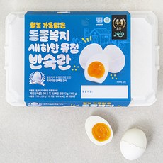 추천2 계란한판