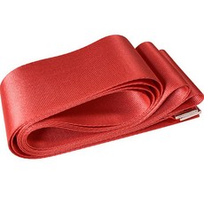 로이윙 스트레칭 자세 보조 벨트, 레드, 1개