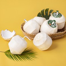 만나다 베트남산 영 Press 코코넛 9개입, 5.5kg, 1개