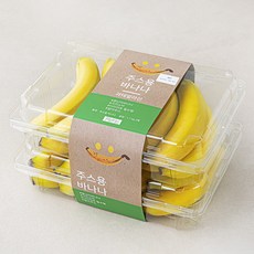 과테말라 주스용 바나나, 1.7kg, 2개
