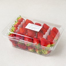 국내산 한반도 금실 딸기, 750g, 1팩