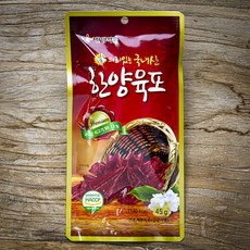 한양식품 한양육포, 45g, 1개