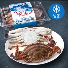 바다미식회 국내산 싱싱 햇 꽃게 2~3마리 (냉동), 450g, 1개