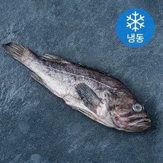 양포어장 국내산 손질 반건조 통우럭 (냉동), 300g, 1개