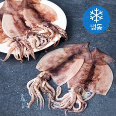 김씨밥 깔끔하게 손질한 오징어 (냉동), 900g(5~7미), 1개