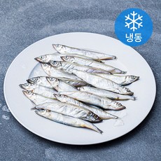 바다몰 열빙어 (냉동), 600g, 1개