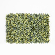 Closer than Salz to Nature 米蘭微型植物 40 x 60 cm, 1個, 黃綠色