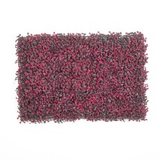 Closer than Salz to Nature 米蘭微型植物 40 x 60 cm, 1個, 深紅