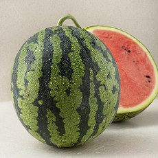 다조은 당도선별 수박, 5kg 미만, 1개