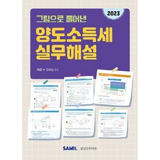  2023 그림으로 풀어낸 양도소득세 실무해설, 삼일인포마인, 위용 