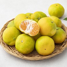 프레시픽 당도선별 감귤, 1kg, 1팩