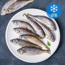 제주어부 참조기 (냉동), 700g, 10개