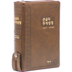 개역개정 굿타임 큰글자 주석성경 21C 찬송가 (대 / 지퍼 / 브라운), 예장