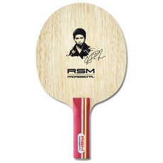 RSM 프로페셔널 AL 카본 탁구 라켓 ST, 1개