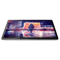 레노버 Tab P12 태블릿PC, 스톰 그레이, 128GB, Wi-Fi