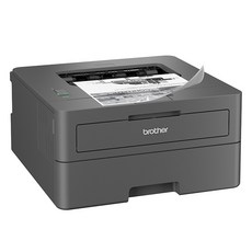 브라더 흑백 레이저 프린터, HL-L2400D