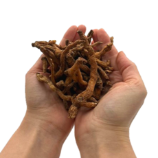 햇살팜 볶은 둥굴레, 200g, 1개