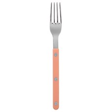 사브르 샤이니 샐러드 포크, 누드핑크, 1개