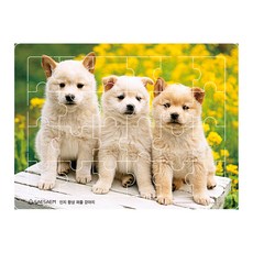 인지향상퍼즐 강아지, 편집부, 도서출판새샘 편집부, 도서출판새샘