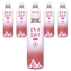 에버데이 제로 에너지 음료, 500ml, 6개