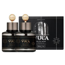 뷰카 센트 클래식 차량용 디퓨저 100ml x 2p + 우드볼 스틱 2p 세트