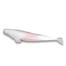 Bandi Toy 柔軟動物白鯨公仔, 1個