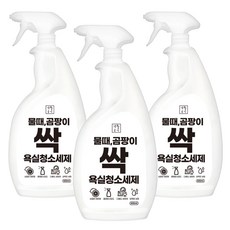 생활공식 물때 곰팡이 싹 욕실청소세제, 3개, 600ml