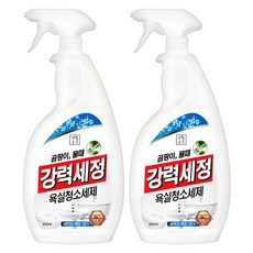 생활공식 강력세정 욕실청소세제, 2개, 600ml