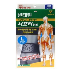VANTELIN KOWA 護具 腰部保護帶, 1個