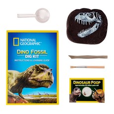 NATIONAL GEOGRAPHIC 國家地理 化石挖掘恐龍牙齒混色 RTNGDINO2, 1個