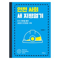 안전 사회 새 지평열기, 김형준, 박영사