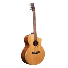 Elusier Bayou S AR 全實心原聲吉他, 天然, 1個, 單品