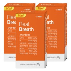 펫생각 강아지 데일리케얼 영양제, 호흡기/기관지, 66g, 3개