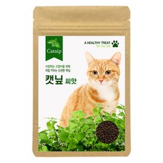 캣닢 씨앗, 1개