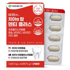 유한메디카 치아 엔 탑 덴티 플러스 72g, 60정, 1개