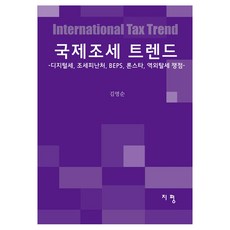 국제조세 트렌드, 지평, 김영순 저