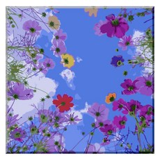 Momofix Painting DIY 名畫套裝 40 x 40cm, F17宇宙