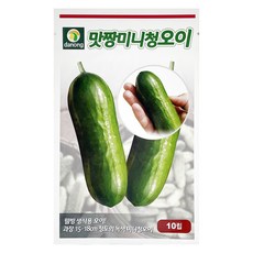 다농 맛짱 미니 청오이 씨앗 10p, 1개