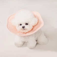 TOUCHDOG 超級狗 Mingle Pet寵物超輕量頸圈, 粉色, 1個