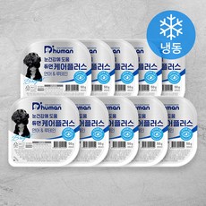 듀먼 전연령 강아지 케어플러스 연어 & 루테인 눈건강 자연화식사료 (냉동), 50g, 10개
