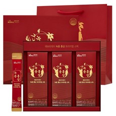 이너랩 에브리데이 녹용 홍삼 프리미엄 스틱 10p, 1개, 30회분